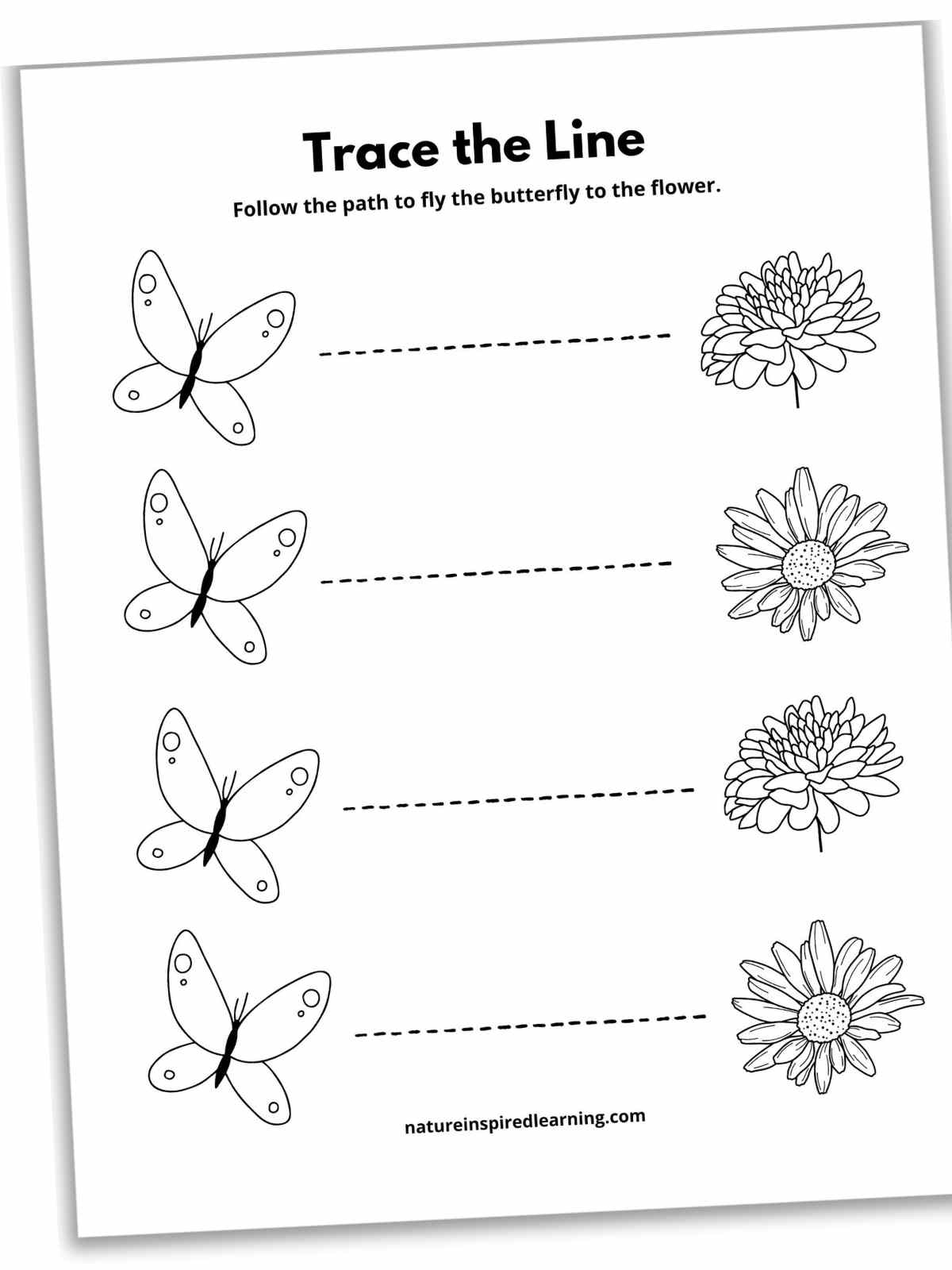 17 Line Tracing Worksheets Free Nature Inspired Learning