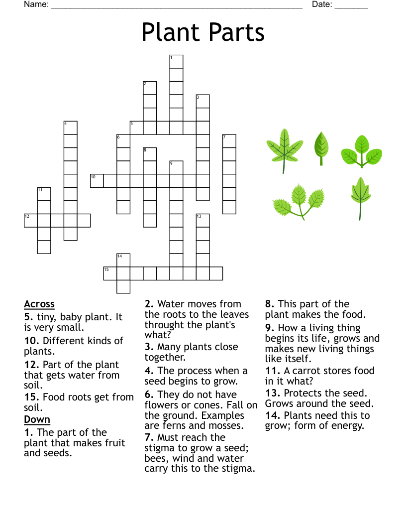 4th Grade Science Crossword WordMint Printable 4th Grade Science Crossword Worksheets