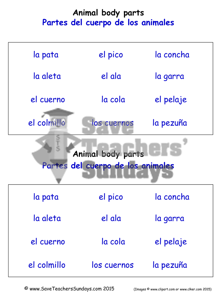 All Animal Body Parts In Spanish Worksheets Save Teachers Sundays