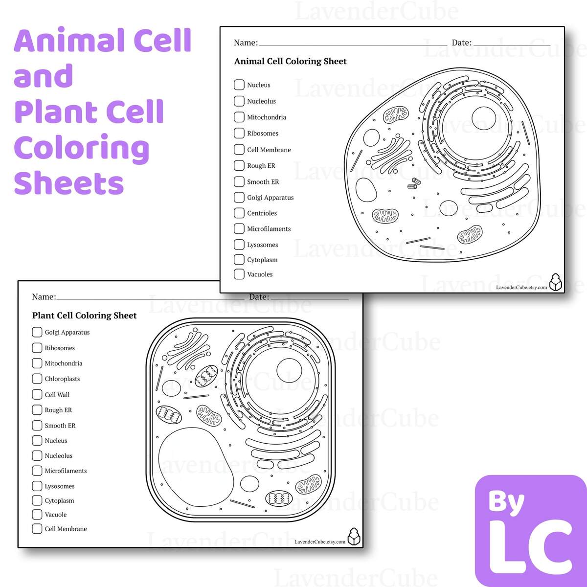 Animal And Plant Cell Coloring Worksheets Digital Download 300 DPI Png Etsy Animal And Plant Cell Coloring Worksheets Digital Download 300 DPI Png Etsy