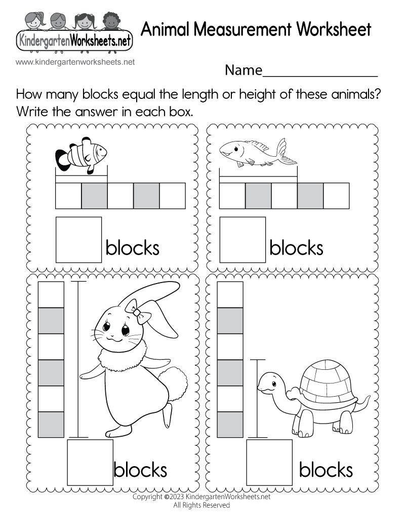 Animal Measurement Worksheet Free Printable Digital PDF Animal Measurement Worksheet Free Printable Digital PDF