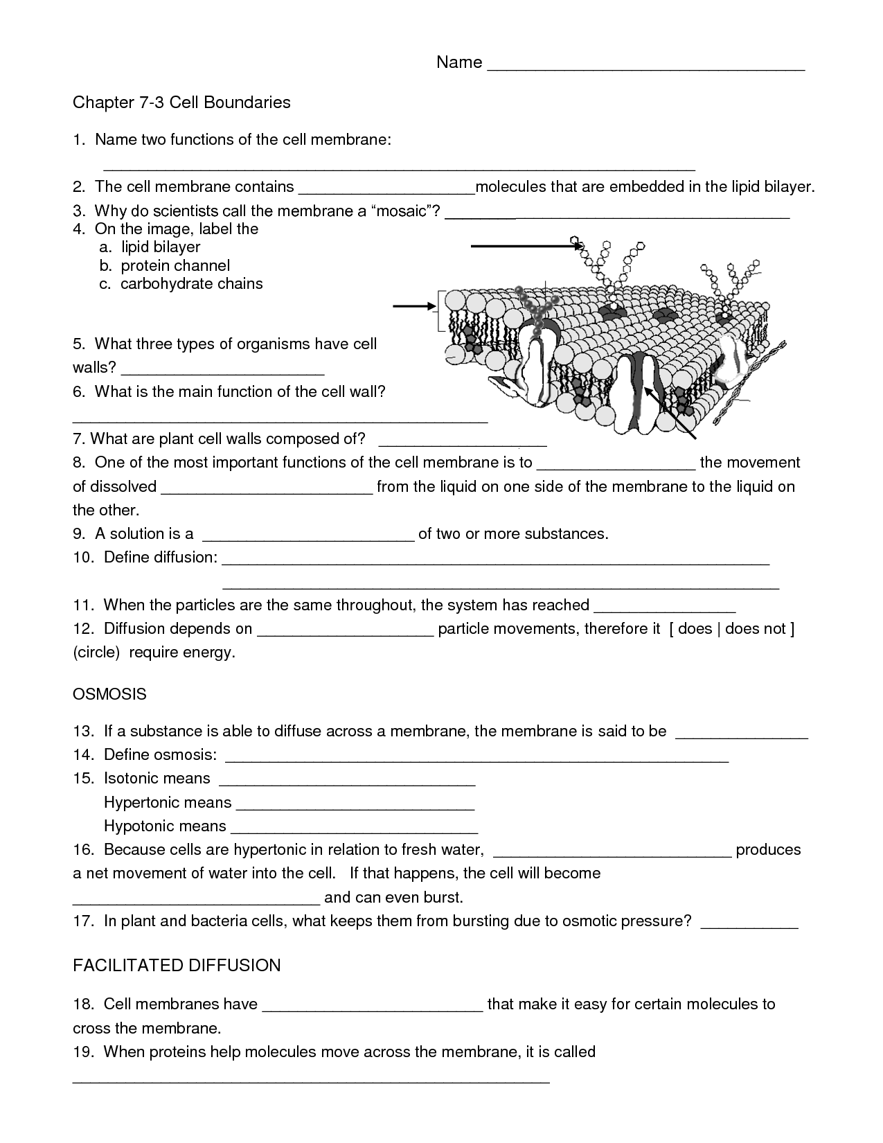 Free Biology Cell Worksheets And Flashcards The Homeschool Scientist Worksheets Library