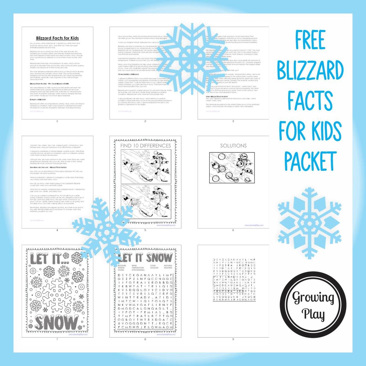 Blizzard Facts For Kids Growing Play