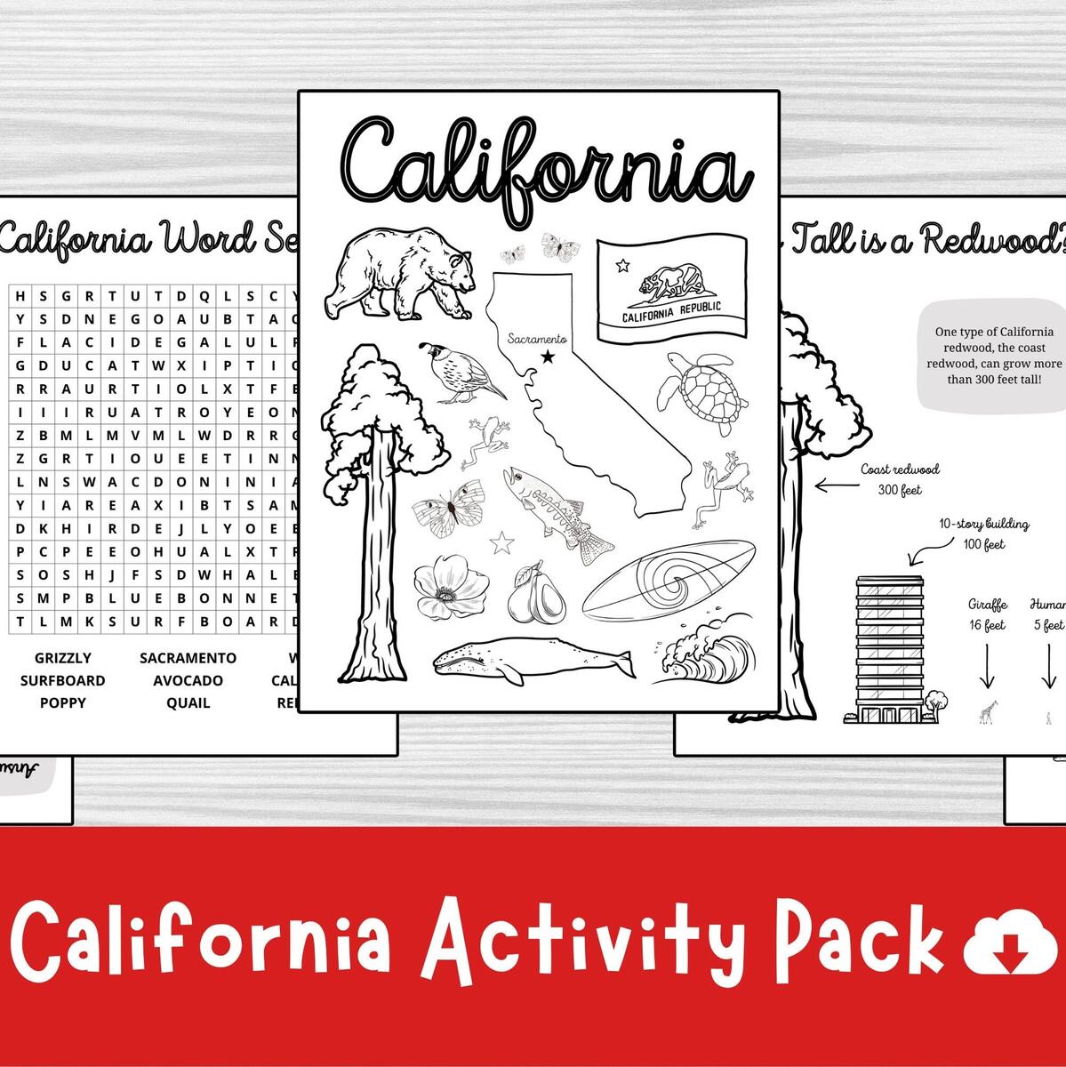 California Activity Pack State Symbols Trivia And Word Search printable PDF Etsy