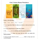 Class 3 Science Biomes Worksheet Free Printable PDF
