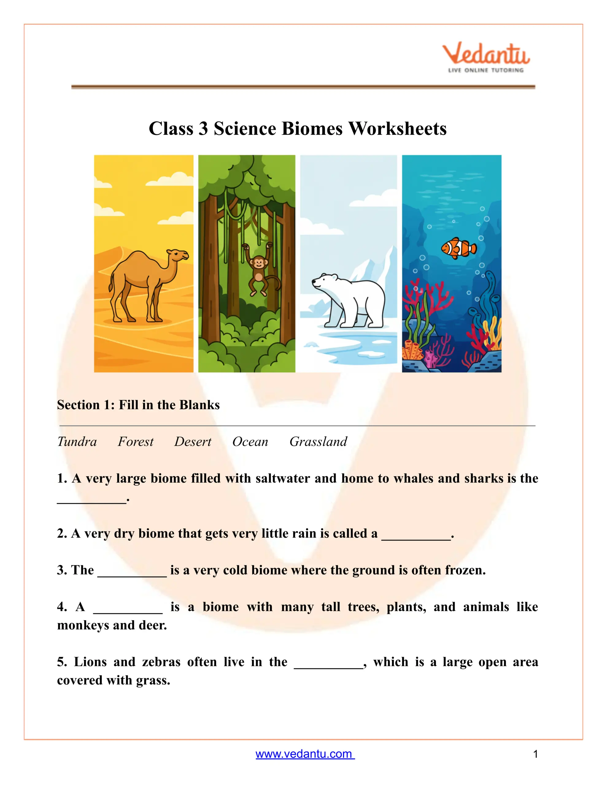 Class 3 Science Biomes Worksheet Free Printable PDF 18 Soil Worksheets For 3rd Grade
