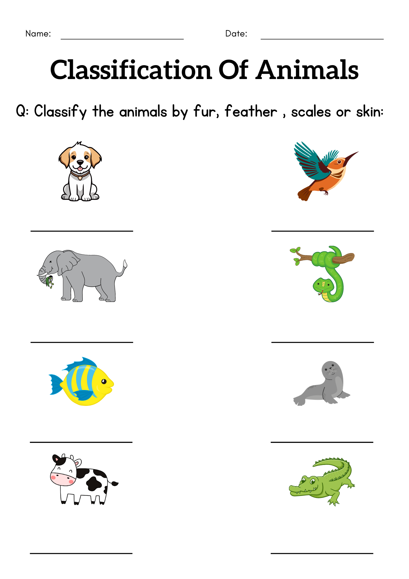 Classification Of Animals Worksheet For Grade 1 Animal Classification For Kids Made By Teachers Classification Of Animals Worksheet For Grade 1 Animal Classification For Kids Made By Teachers