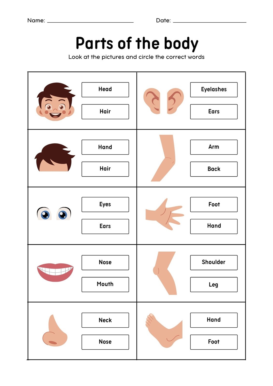 Parts Of The Body Free Worksheet SKOOLGO