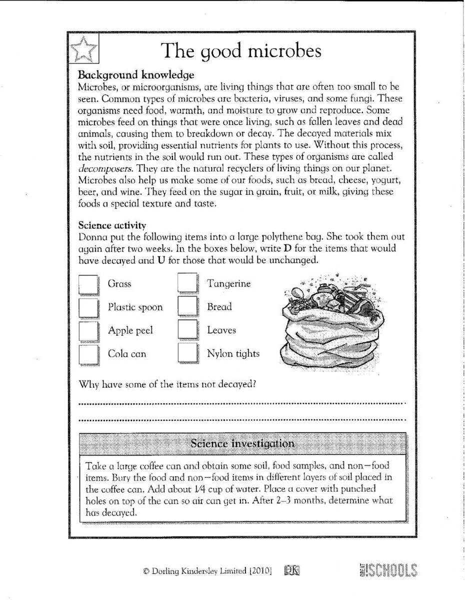 Dorling Kindersley Limited 2010 Worksheet Dorling Kindersley Limited 2010 Worksheet