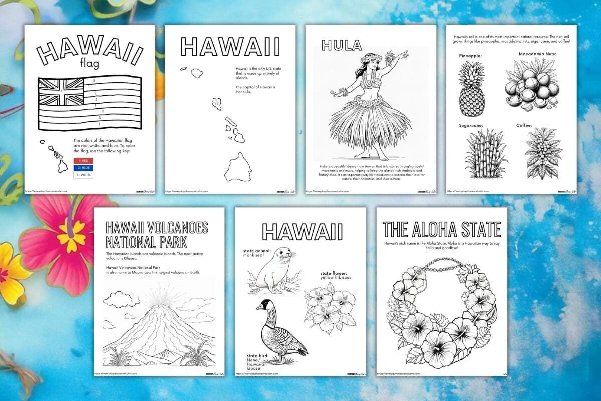Free Educational Hawaii Coloring Pages For Kids Free Educational Hawaii Coloring Pages For Kids