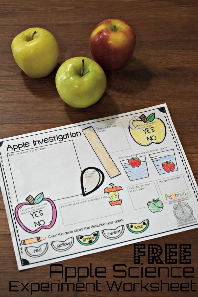 FREE Printable Apple Science Experiment Worksheet FREE Printable Apple Science Experiment Worksheet