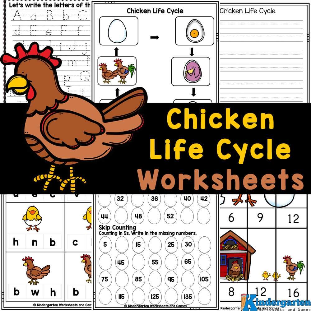 Chicken Math Addition Counting Coloring Multiplying Worksheets Made By Teachers