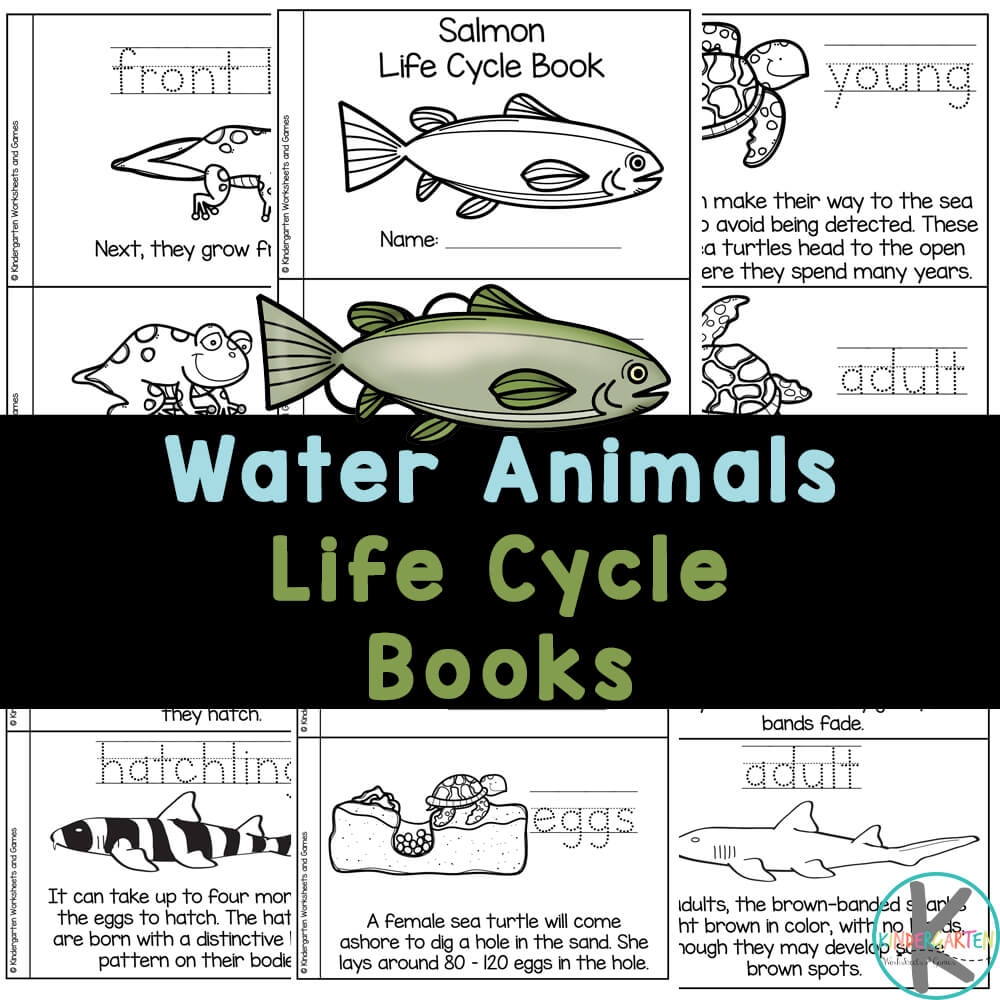 FREE Water Animals For Kids Life Cycle Printable Books