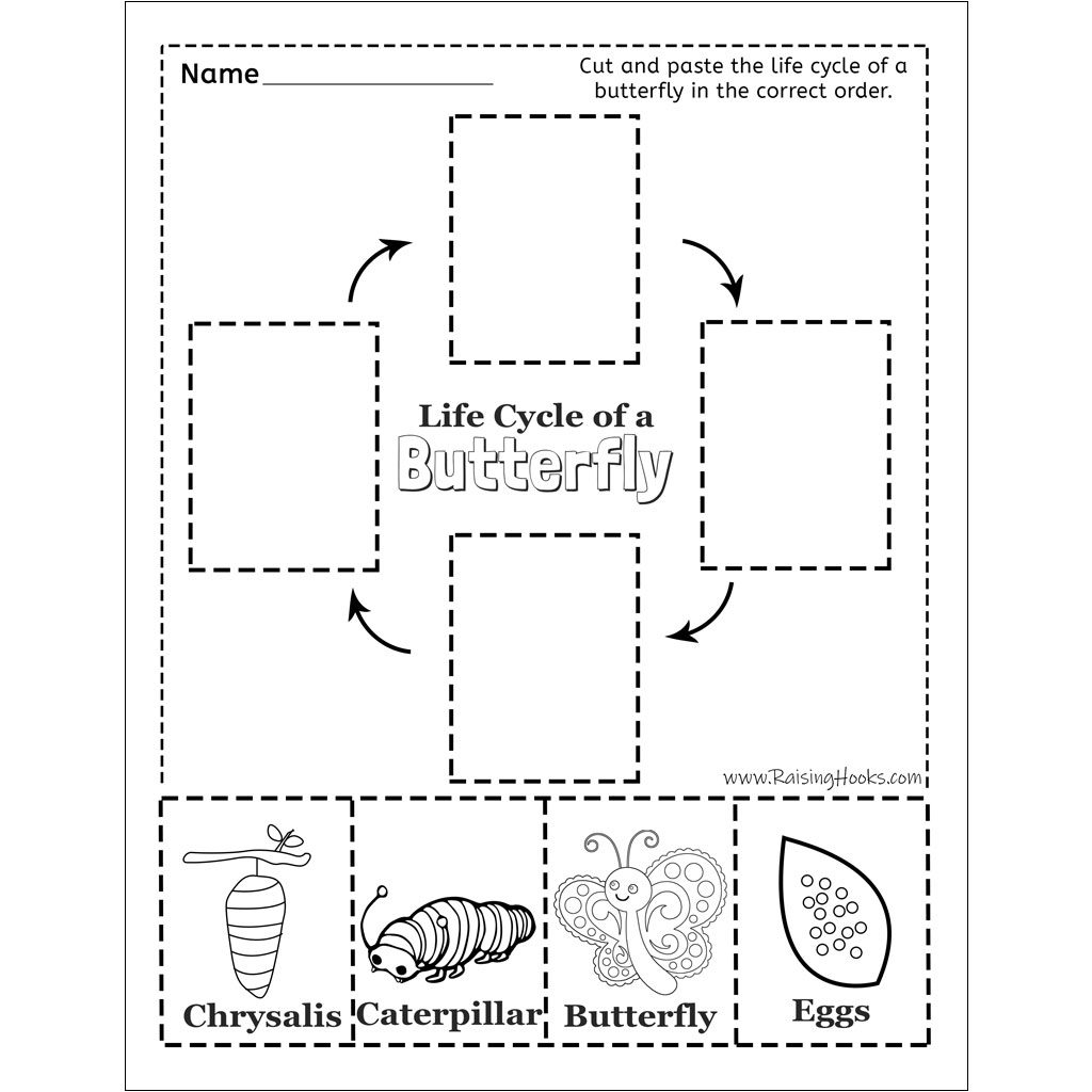 Free Butterfly Life Cycle Printable Fun A Day