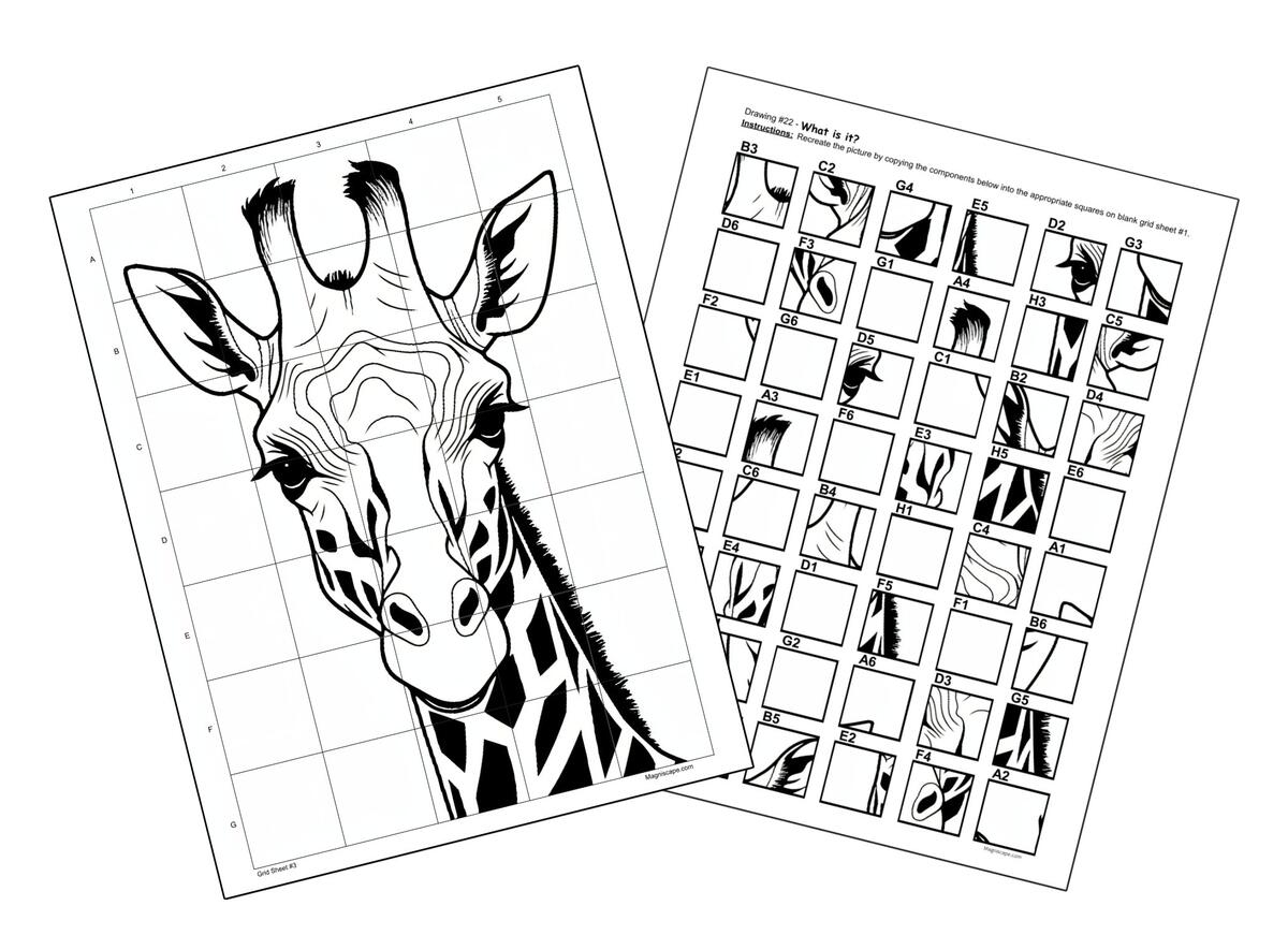 Mystery Grid Drawing Puzzles Volume 1 Magniscape Mystery Grid Drawing Puzzles Volume 1 Magniscape