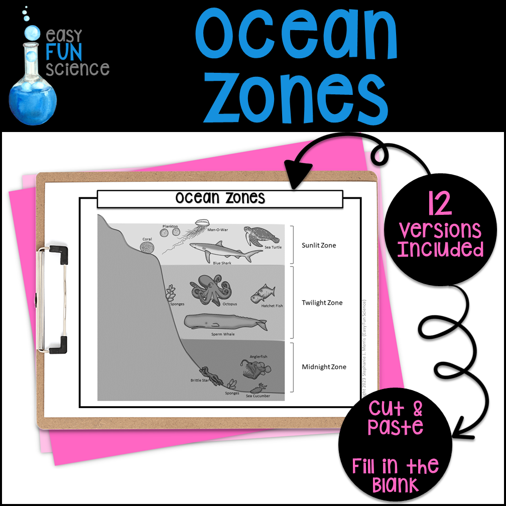 Ocean Zones Diagram Made By Teachers Free Printable Ocean Kindergarten Sequencing Worksheets The Keeper Of The Memories