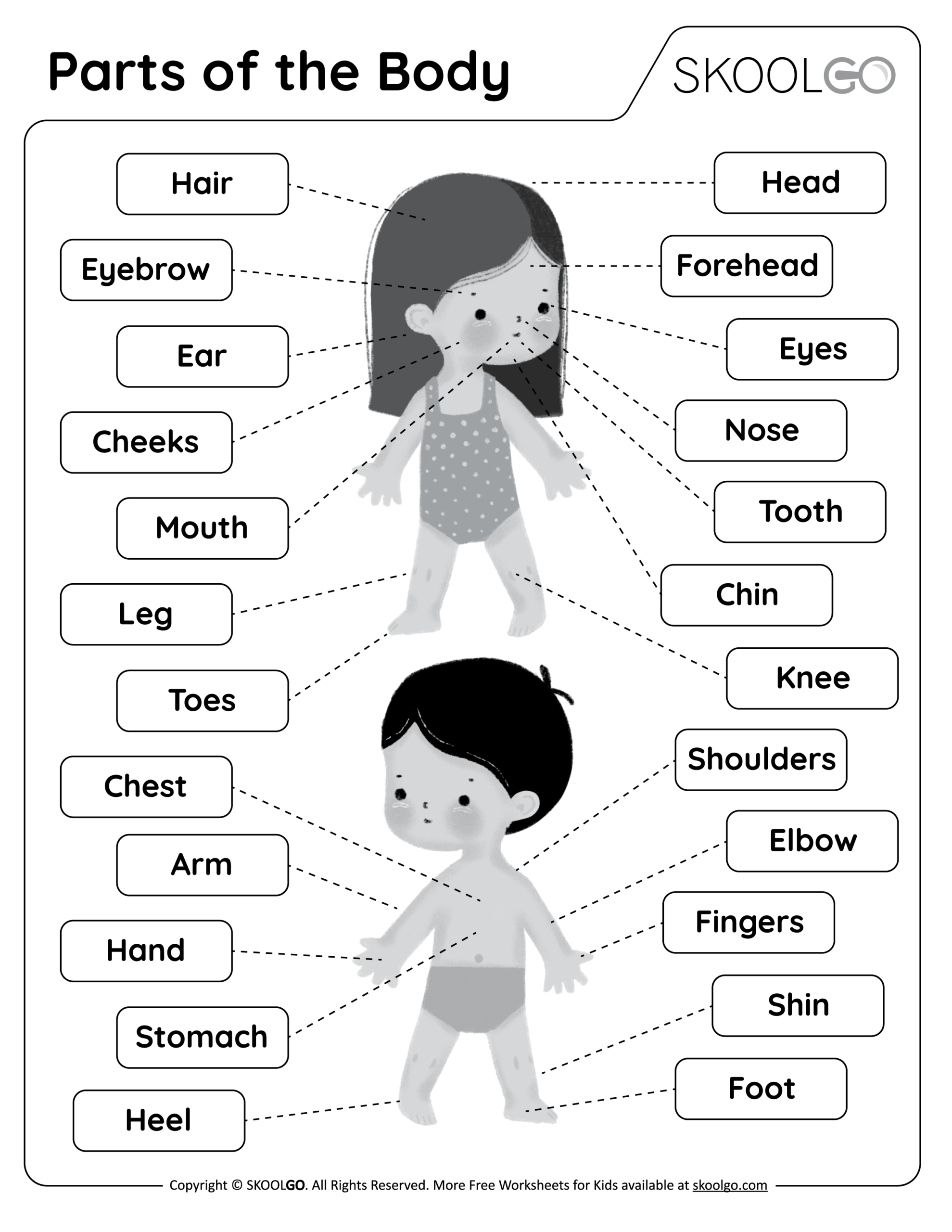 Customize 81 Body Parts Worksheets Templates Online Canva