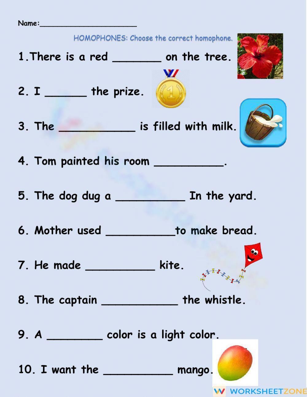 Printable 2nd Grade Homophones And Homographs Worksheets