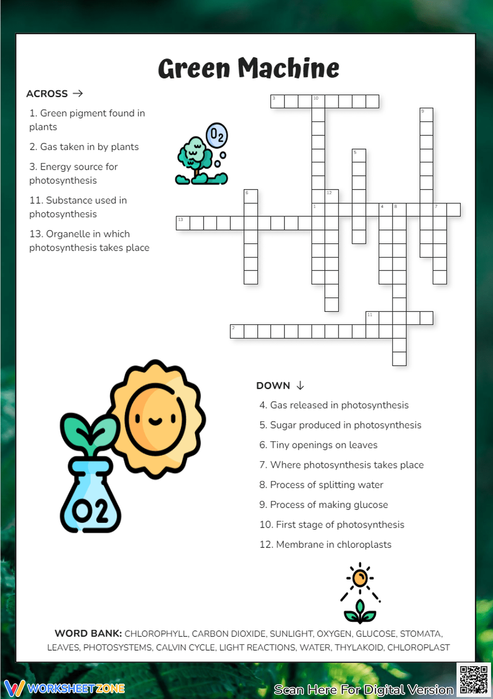Printable 4th Grade Science Crossword Worksheets Printable 4th Grade Science Crossword Worksheets