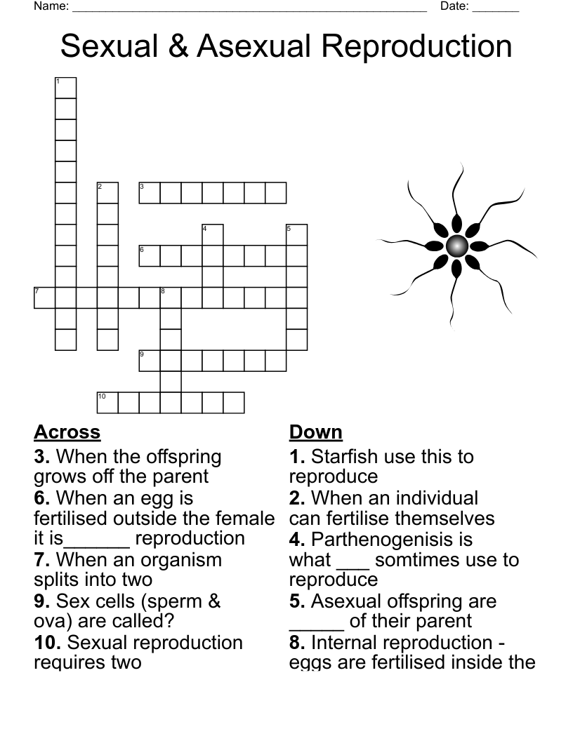 REPRODUCTION Word Search WordMint REPRODUCTION Word Search WordMint