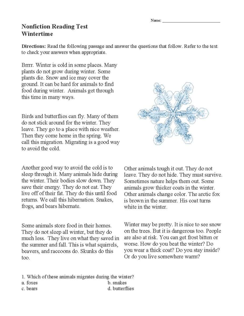 Wintertime Nonfiction Reading Activity